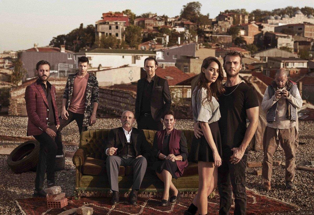 Сразу признаюсь вам  , что сериал понравился мне с третьей серии. В основном сюжет фильма состоит из криминала . Если семья и братство для вас самое ценное , то этот сериал будет вам интересен! 