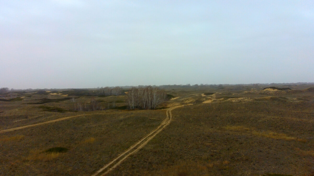 Вдали уже виднеются барханы