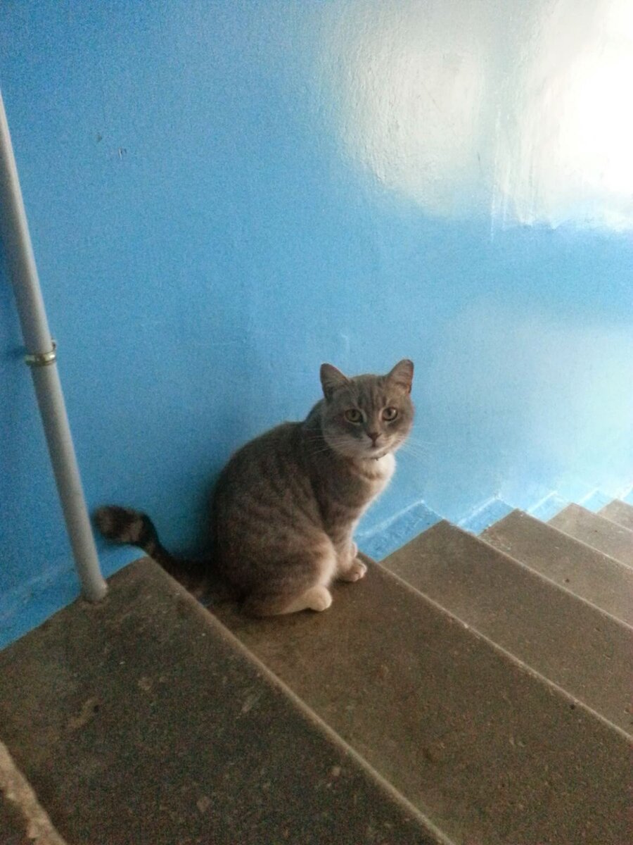 "Я никому не нужен. Меня выгнали из дома" Фото Ольги Рябовой