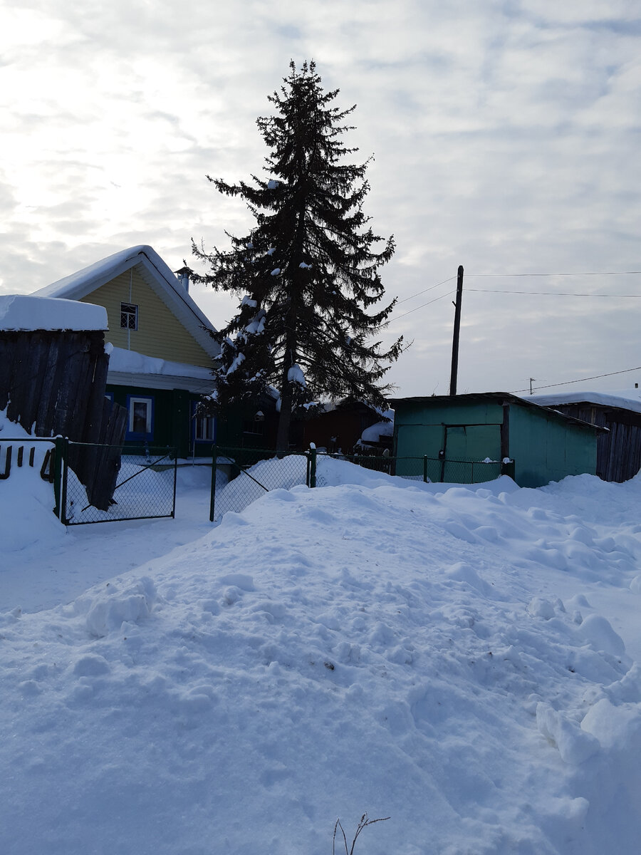 Родовое гнездо мужа)