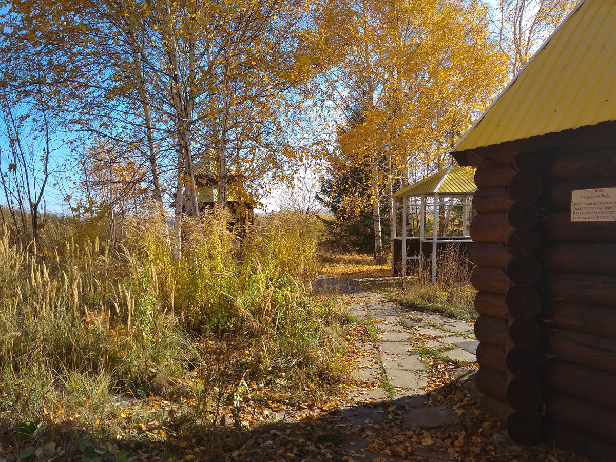 Родник Висловский (Благодатное небо), Республика Мордовия | Родники России  | Дзен