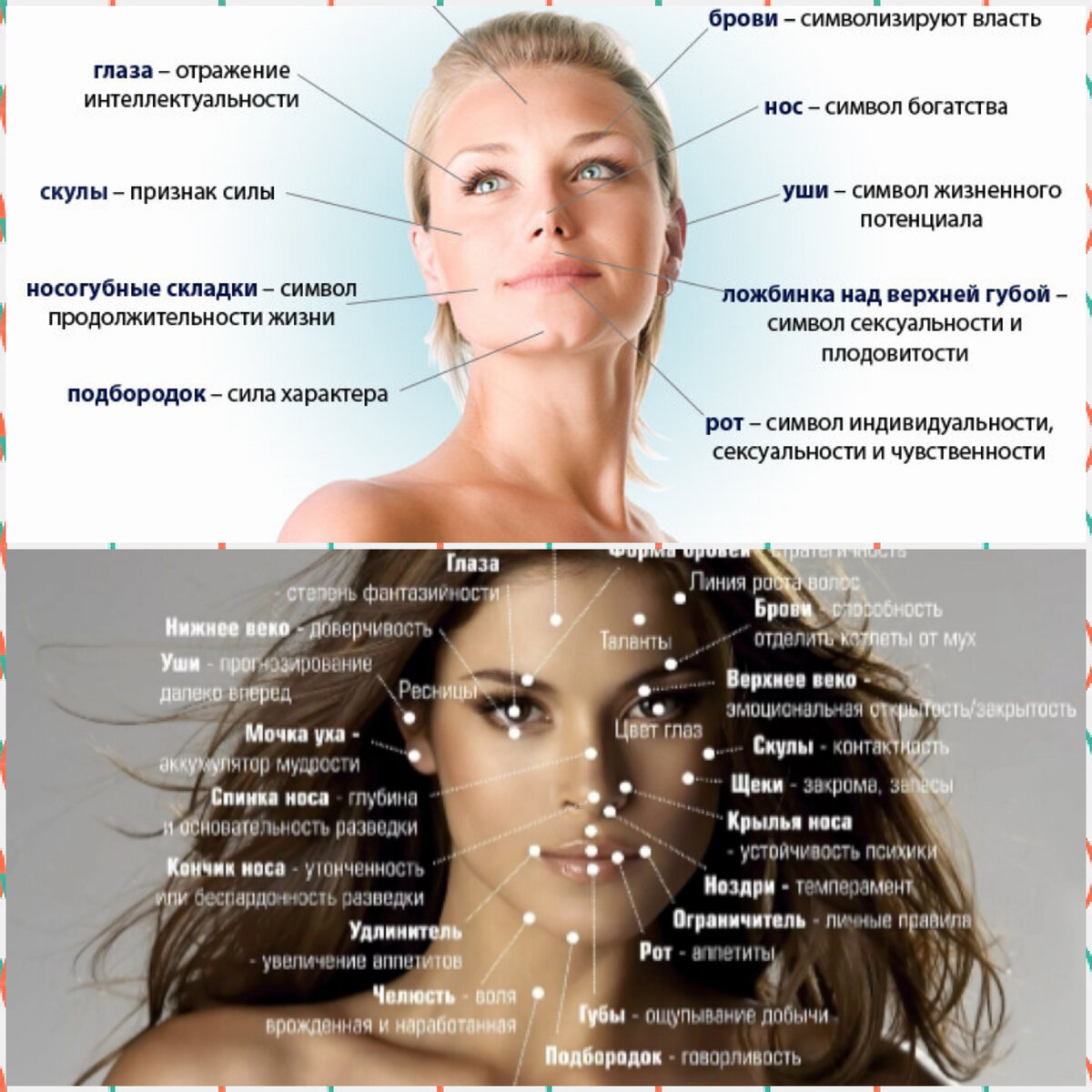 Изображение здесь и далее - интернет.