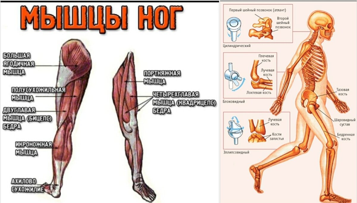 Здоровые суставы - это просто