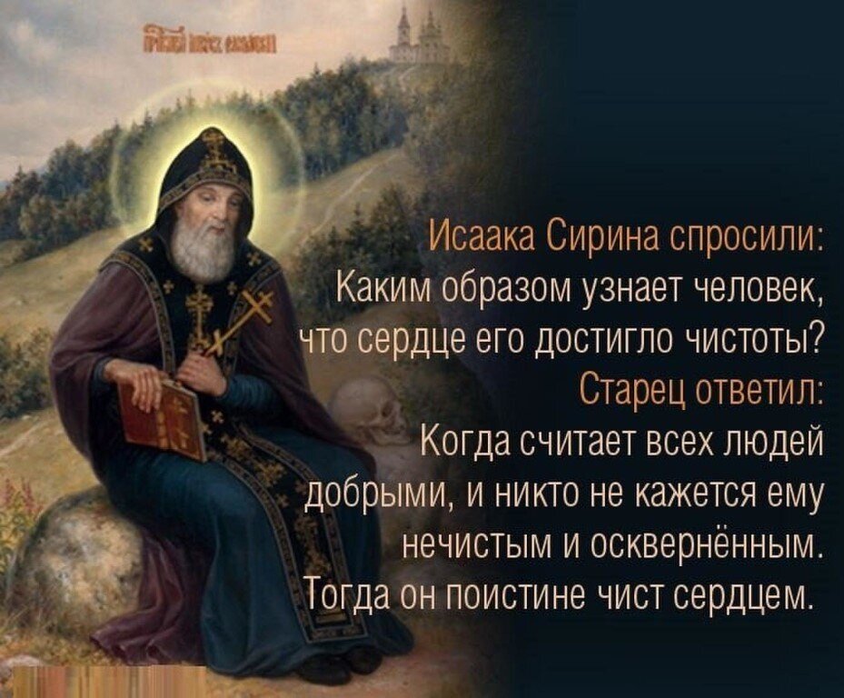 фото из открытого источника Яндекс. Картинки. 
