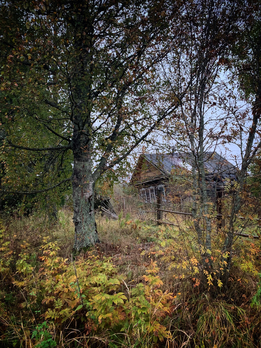 Главная улица деревни