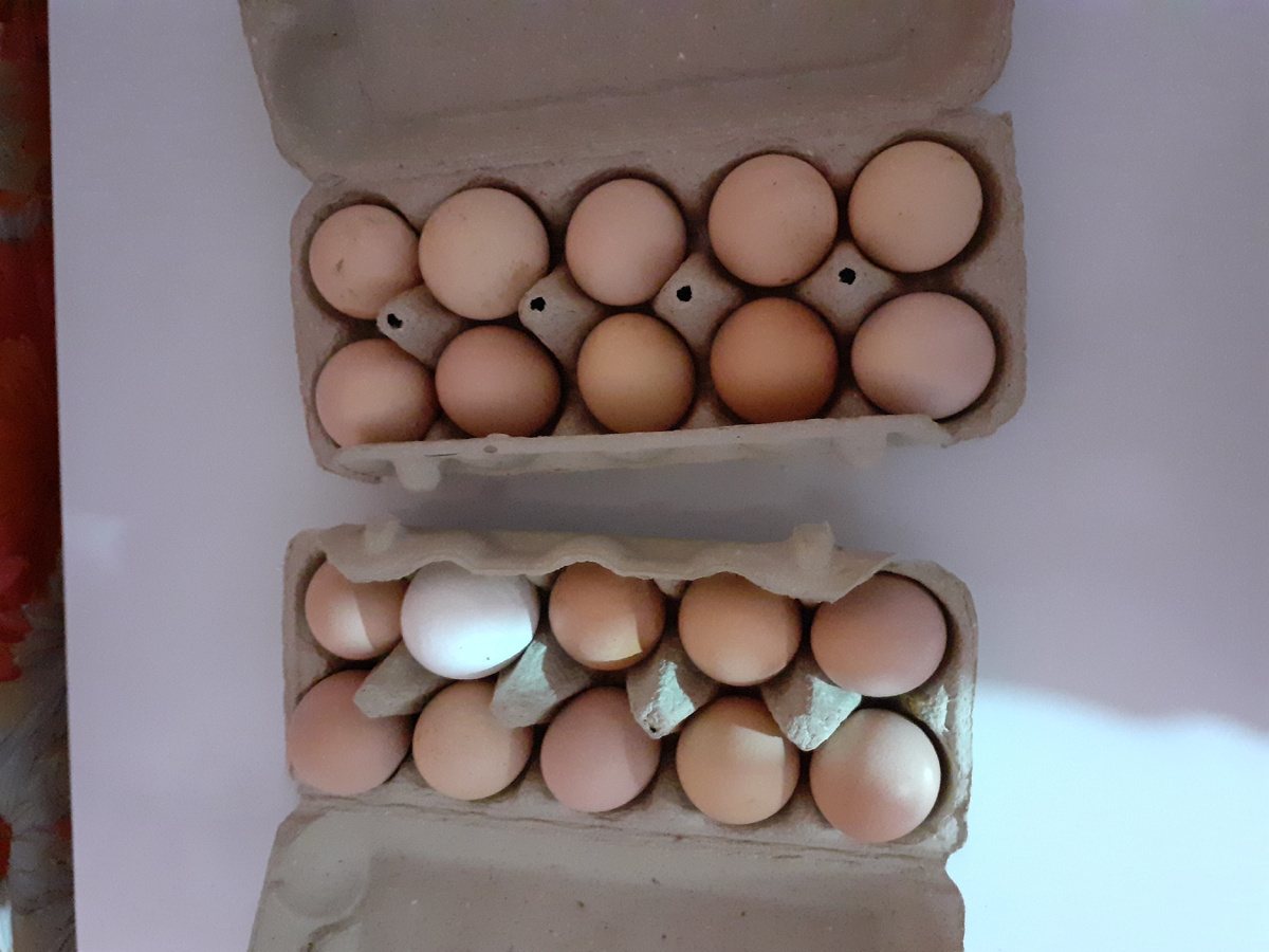 За два дня собрала от 18 