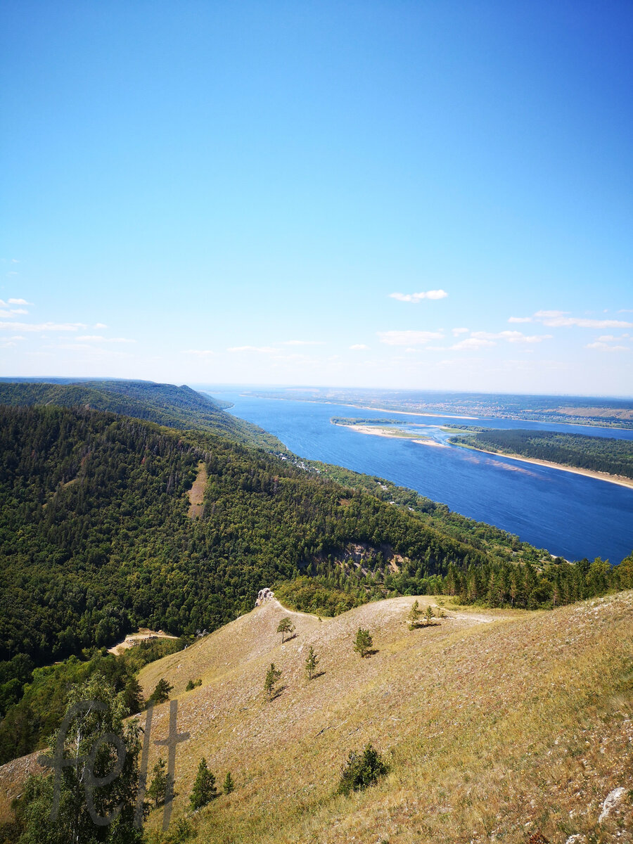 Козел в жигулевских горах