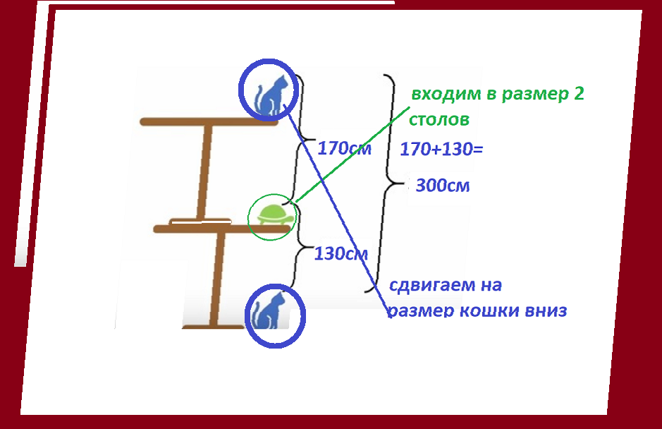 Задача какова высота стола с кошкой и черепахой