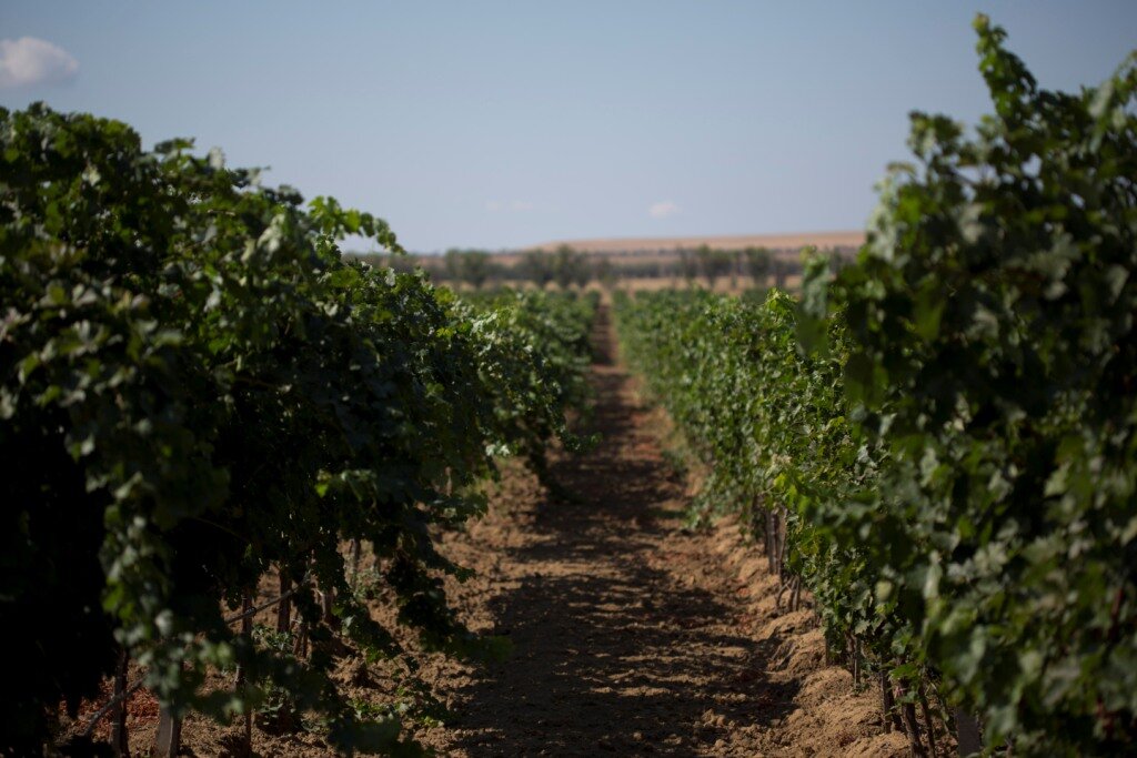 Источник фото: https://inkerman.ru/upload/iblock/206/Uglovoe-_2_.jpg