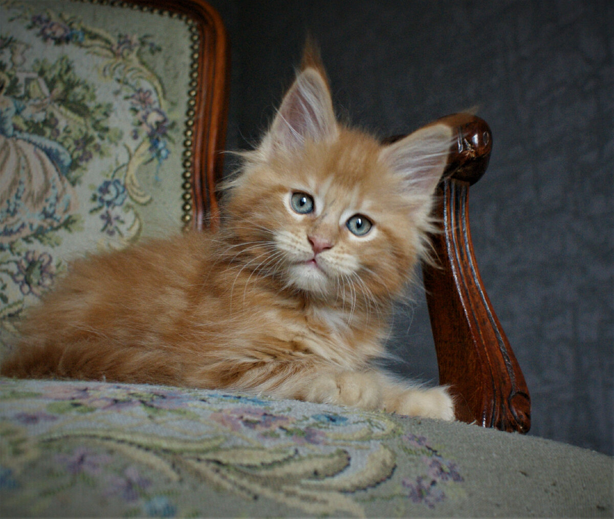 Фото из личного архива.