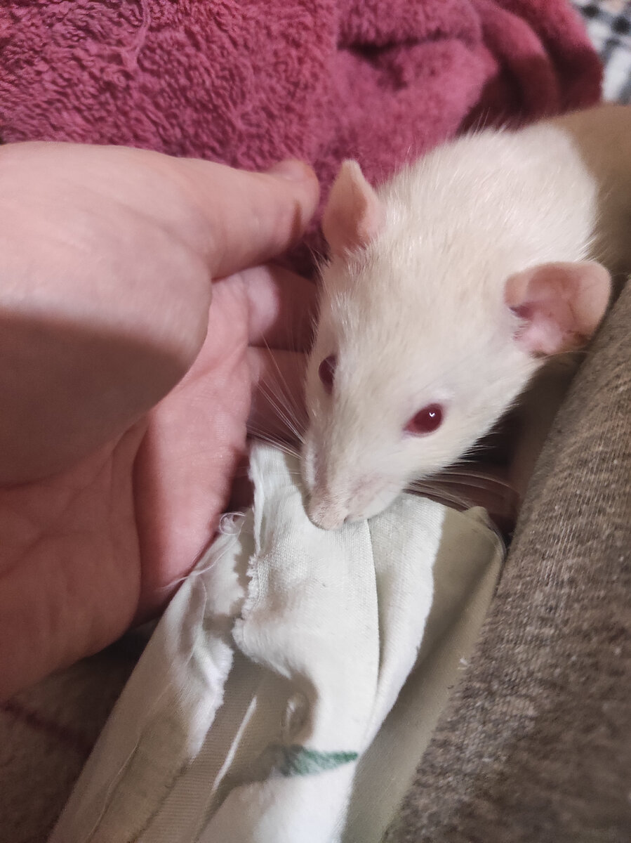 Чудесные глазки же, да?