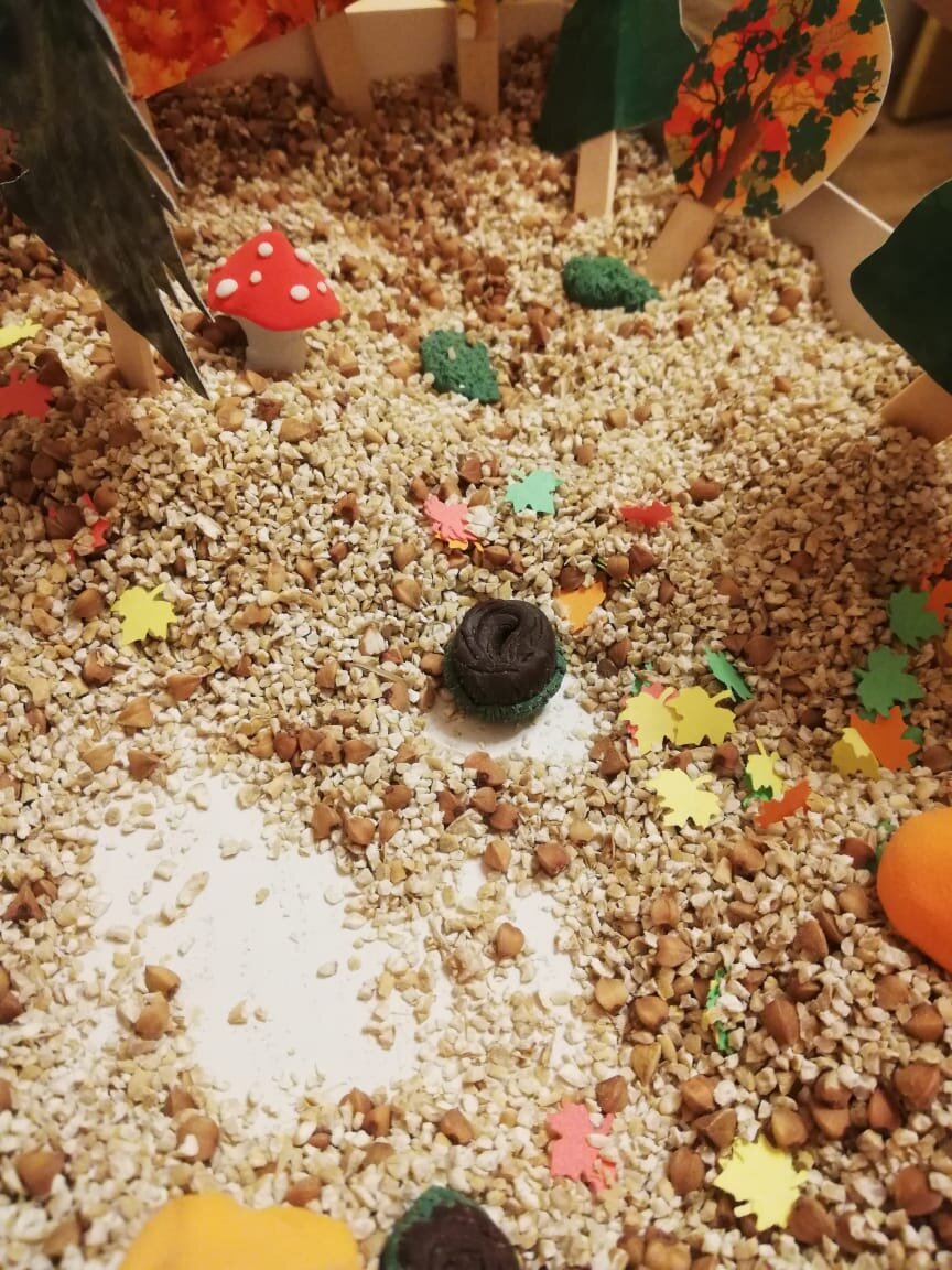 Сенсорный Бокс "Огород".