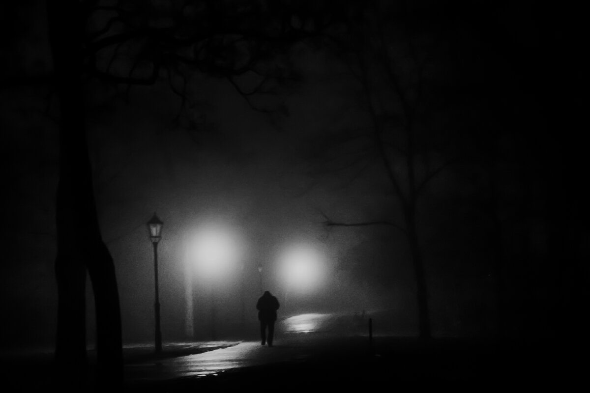 картинка из Яндекса.