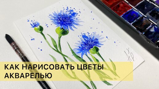 ВАСИЛЬКИ акварелью. Скетч за 10 минут с нуля