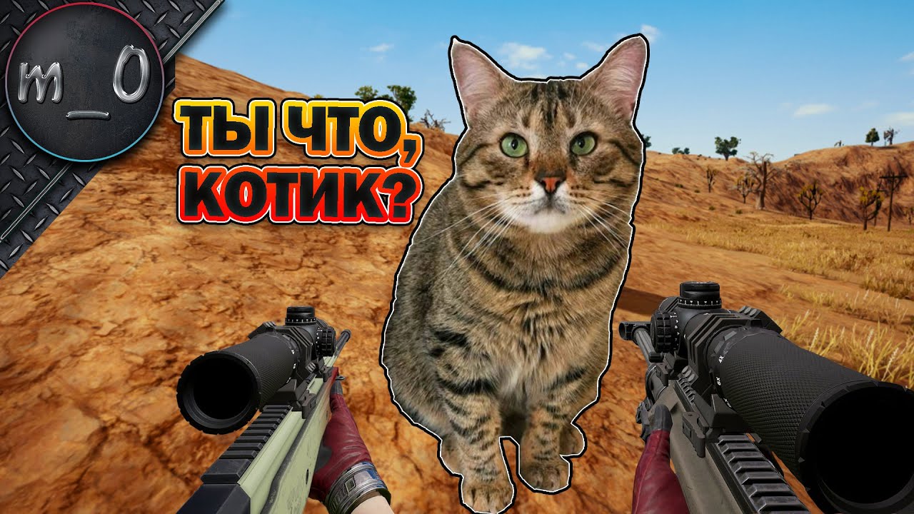 Ты что, котик? / Lynx + AWM + Mk14 / BEST PUBG