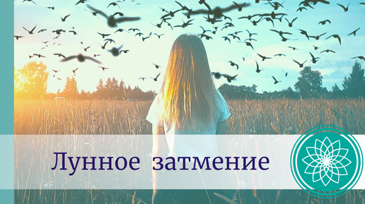 10 мая лунные сутки