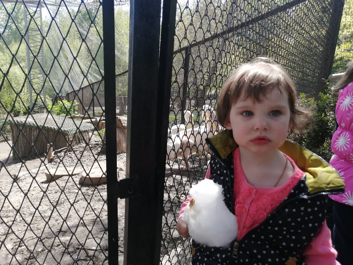 Ника и сахарная вата по цене килограмма