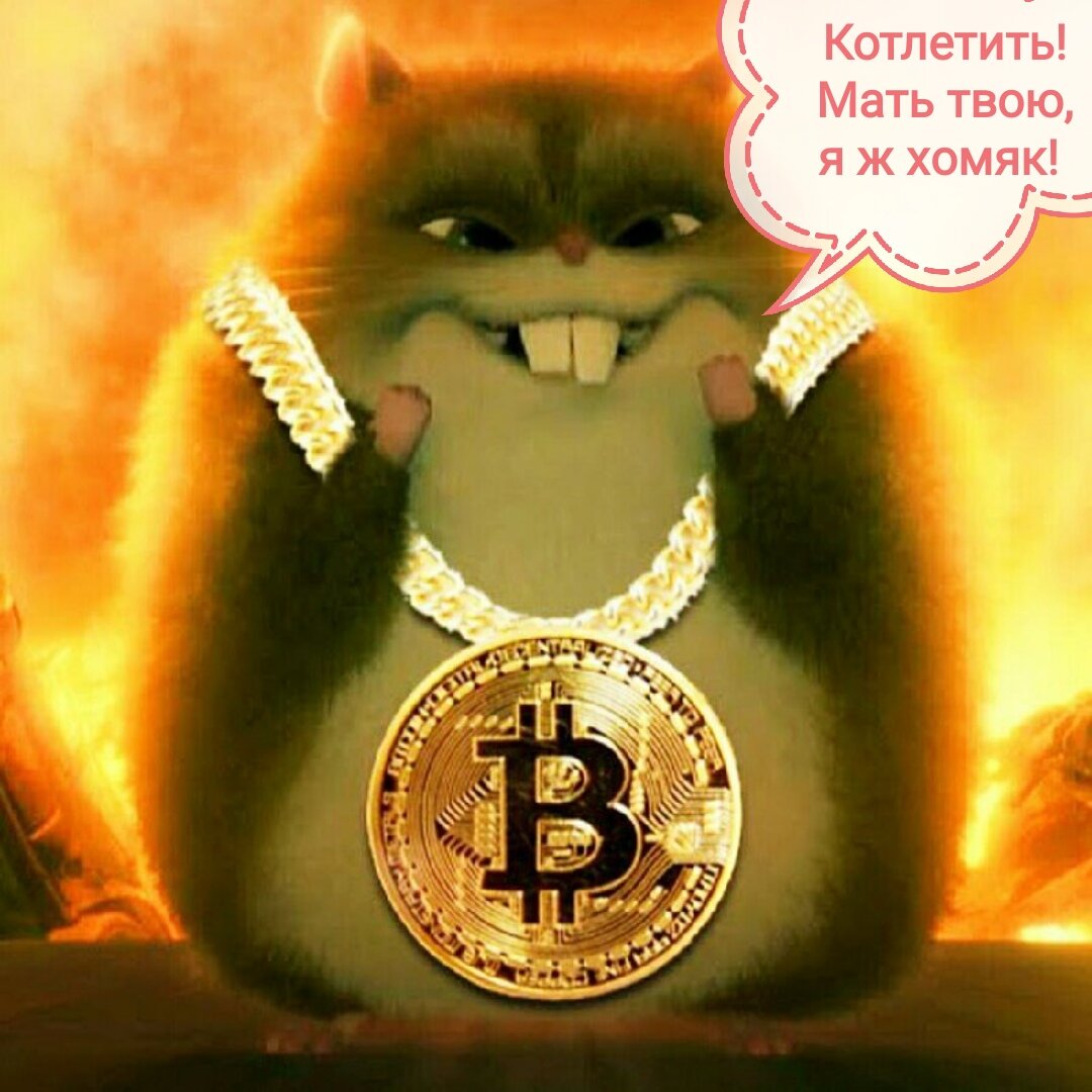 Хомяк биткоин