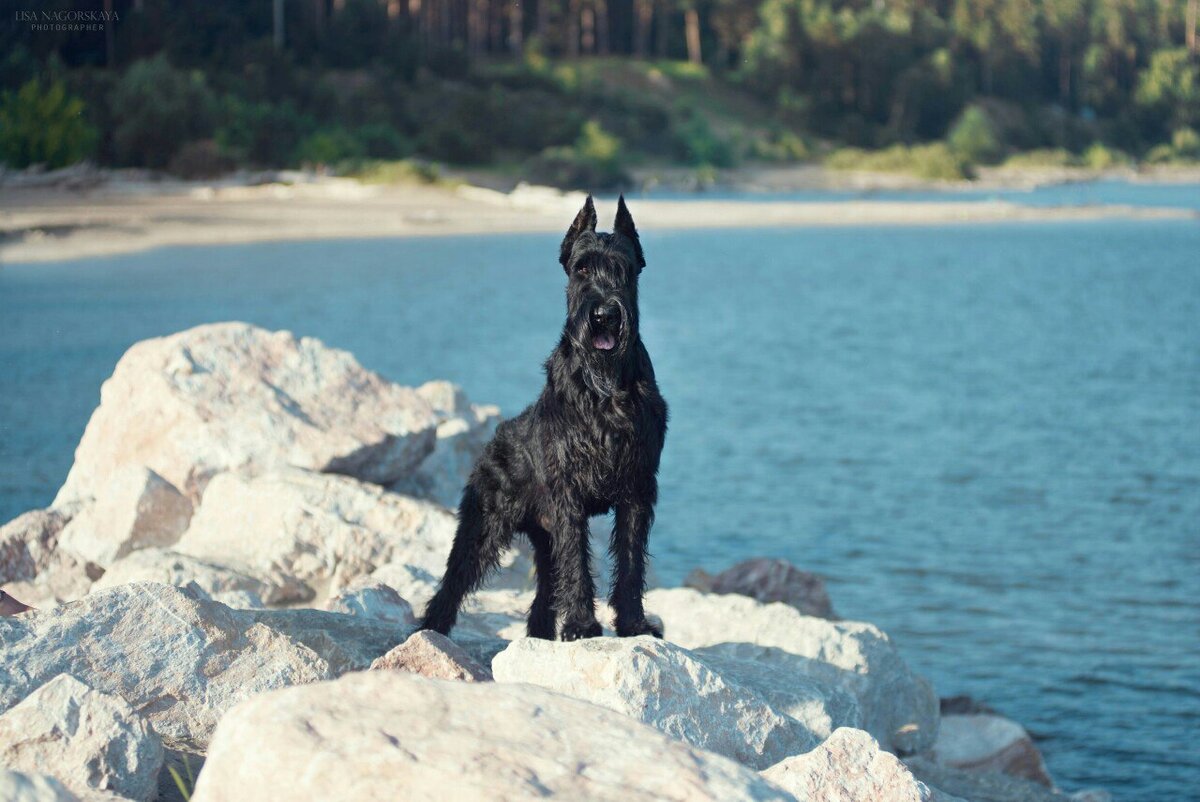 Источник: Яндекс.Картинки