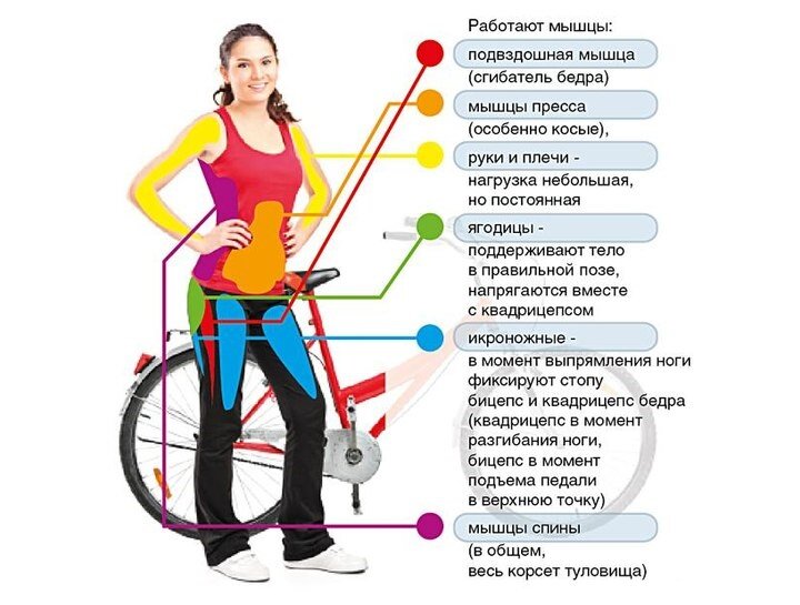 Велосипедист: истории из жизни, советы, новости, юмор и картинки — Все посты | Пикабу