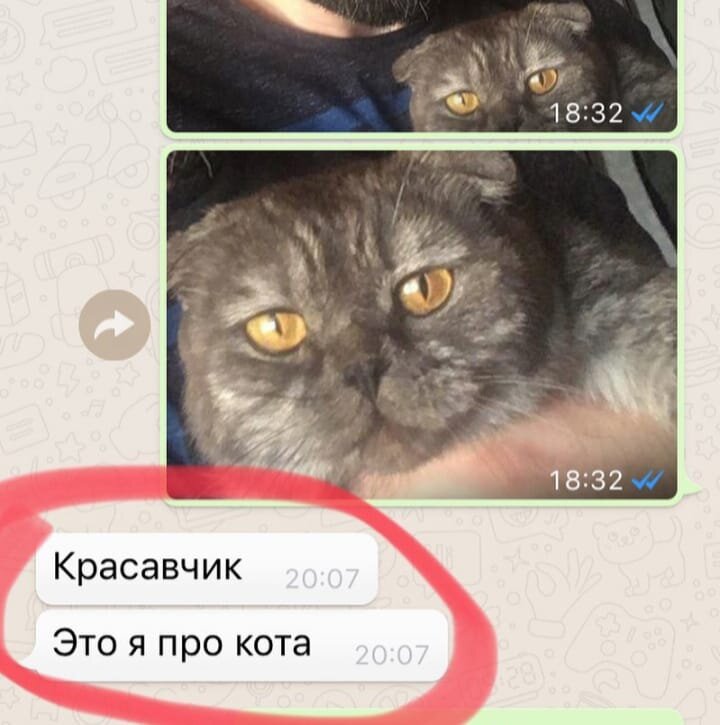 Обычная реакция на Мыш-Мыша. Мы привыкли.