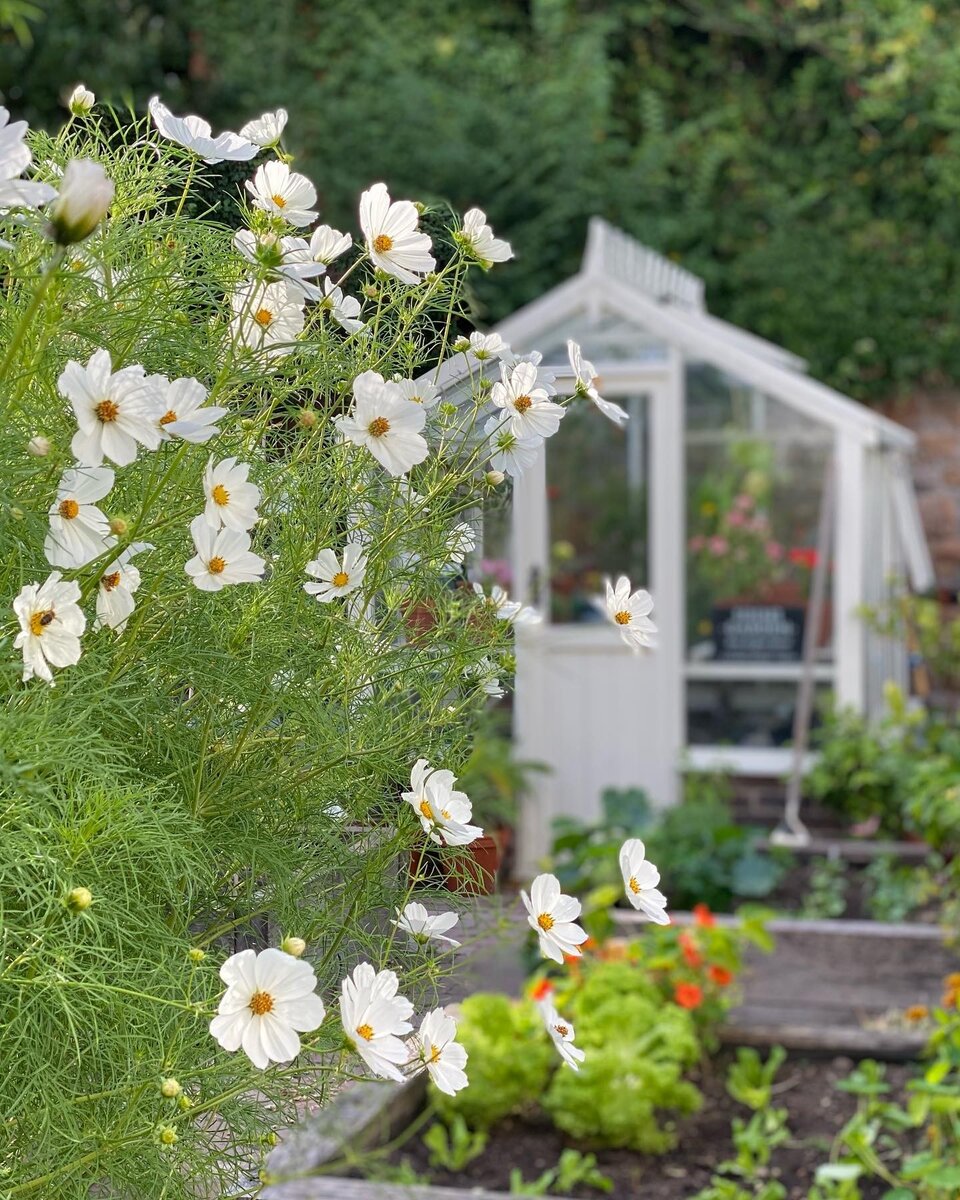 Вдохновляемся 5 красивых садиков с теплицами ИДЕИ ВАШЕГО ДОМА Дзен