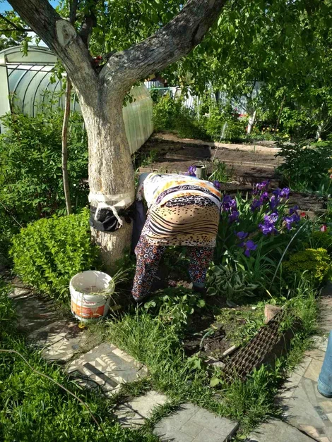 пугало "женщина убирает сорняки"