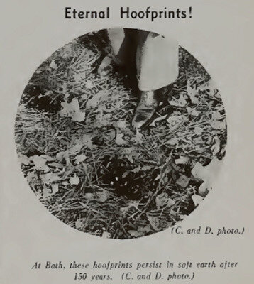 Фото из журнала 1937 года