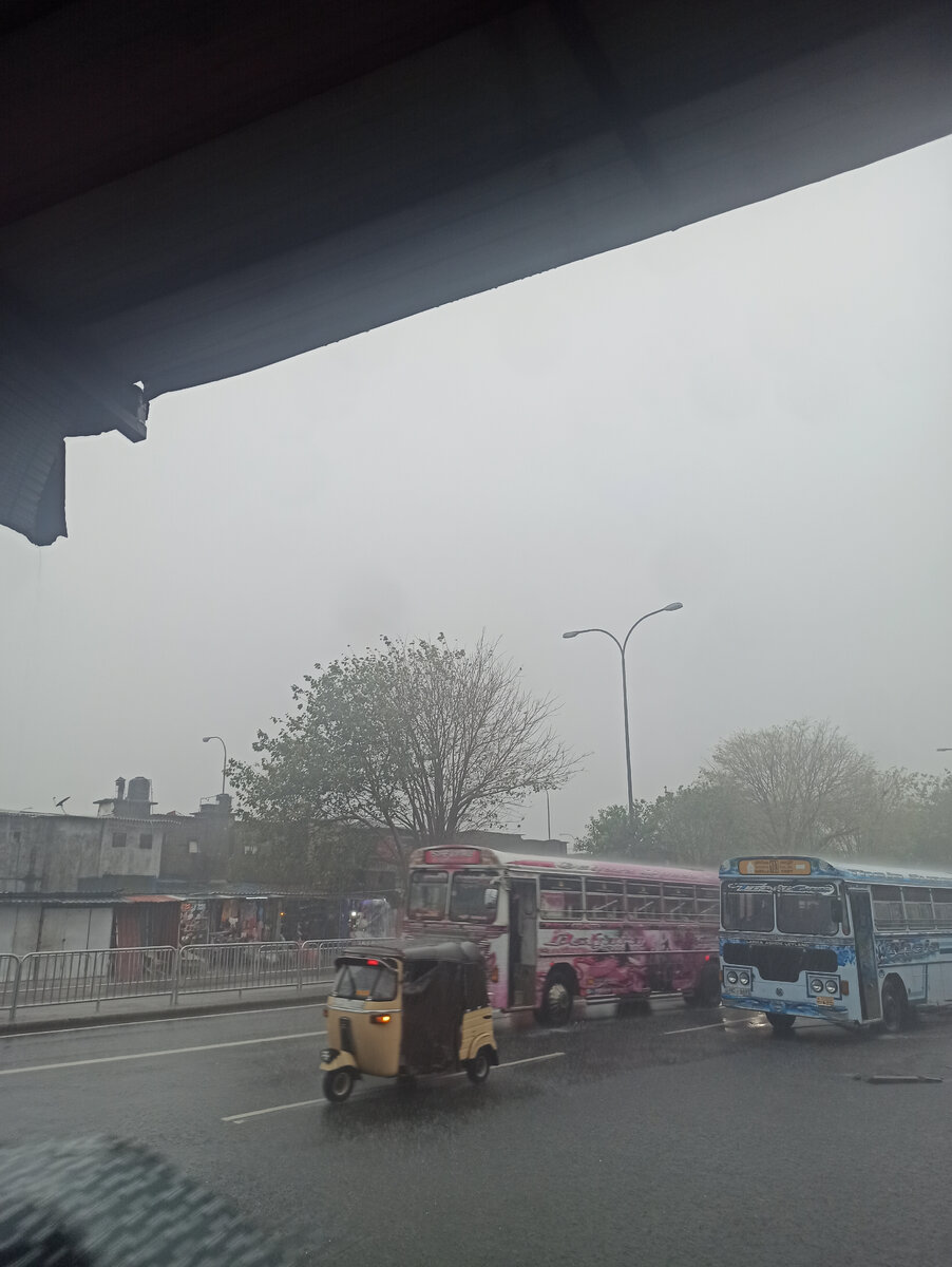 автобусы на улицах Коломбо