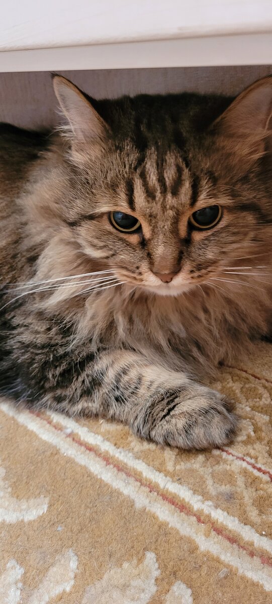 стыдно должно быть!