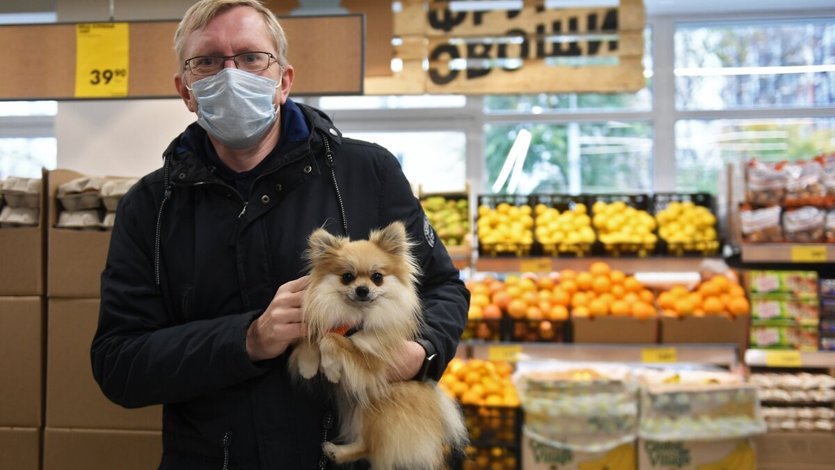С собакой в продуктовый магазин: законы, возможности и ограничения