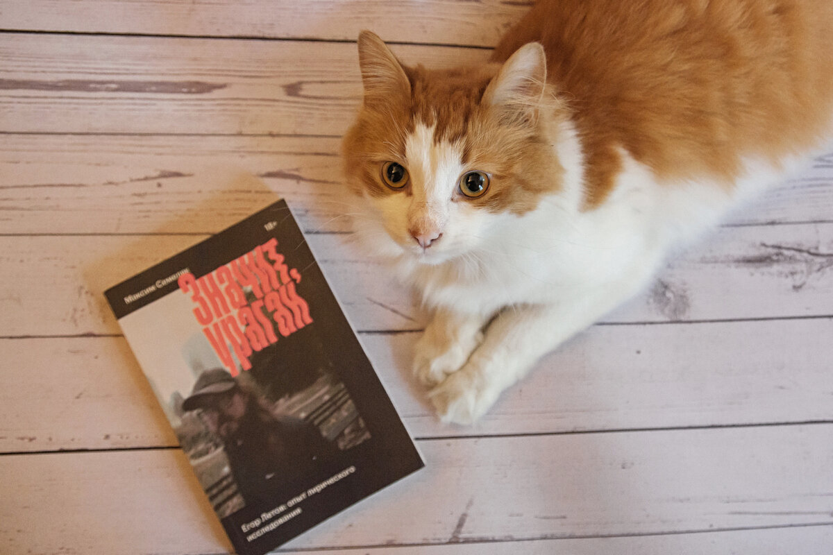 У нас с Летовым, как оказалось, котики похожи :)