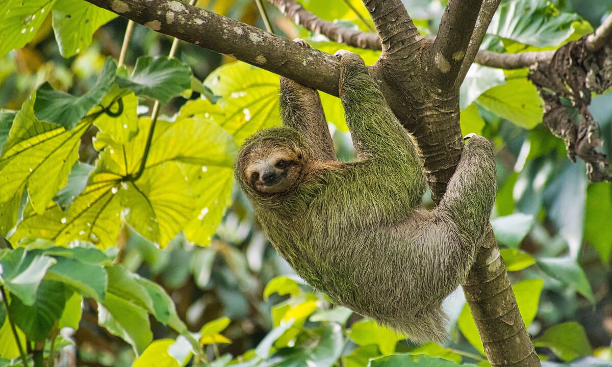 Выглядит безобидно. Вряд ли вы будите боятся его 