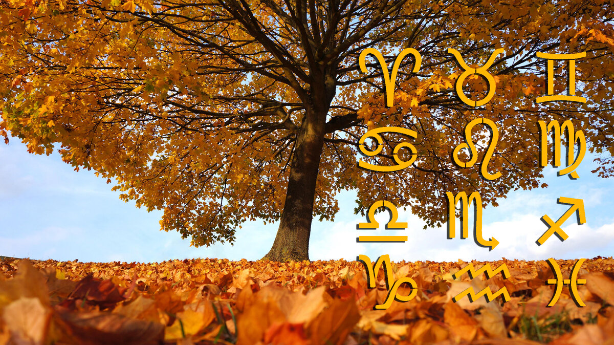 Источник: pixabay.com