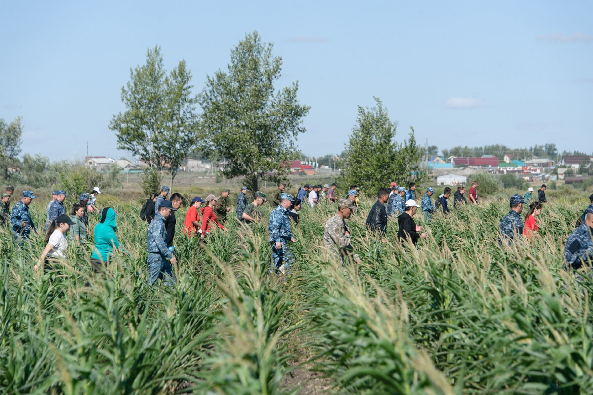 ÐÐ°Ð´Ð¸Ð½Ð° ÑÑÐ¾Ð½ÑÐ»Ð°: ÑÑÐ¾Ð½Ð¾Ð»Ð¾Ð³Ð¸Ñ Ð¿Ð¾Ð¸ÑÐºÐ¾Ð² Ð´ÐµÐ²Ð¾ÑÐºÐ¸, Ð·Ð° ÐºÐ¾ÑÐ¾ÑÑÑ Ð¿ÐµÑÐµÐ¶Ð¸Ð²Ð°Ð» Ð²ÐµÑÑ ÐÐ°Ð·Ð°ÑÑÑÐ°Ð½