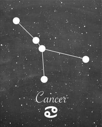 созвездие рака
