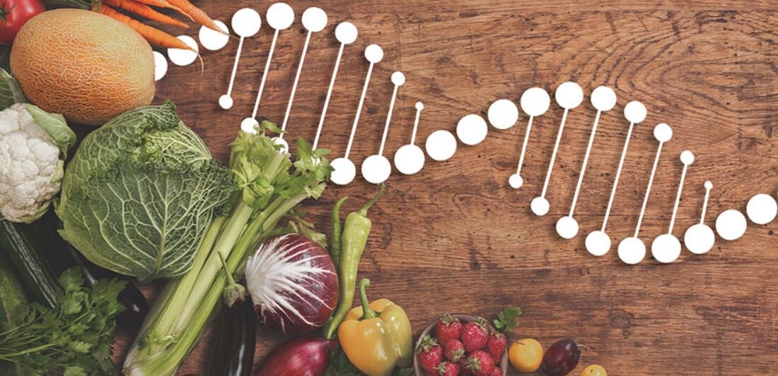 Картинка взята с источника https://www.dnk-center.ru/img/pitanie-dieta-dnk.jpg 