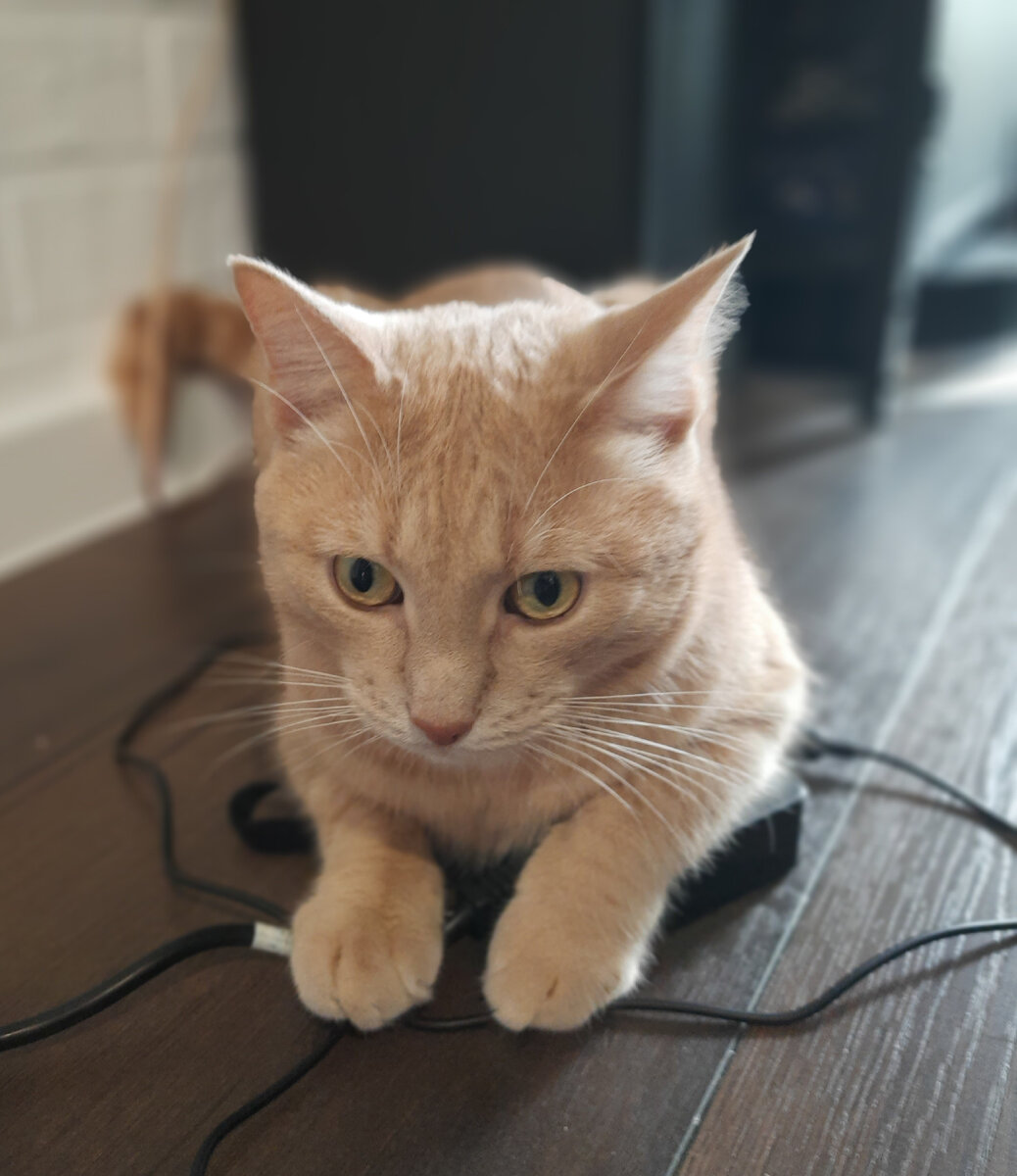 Надо надо заряжаться, по утрам и вечерам))