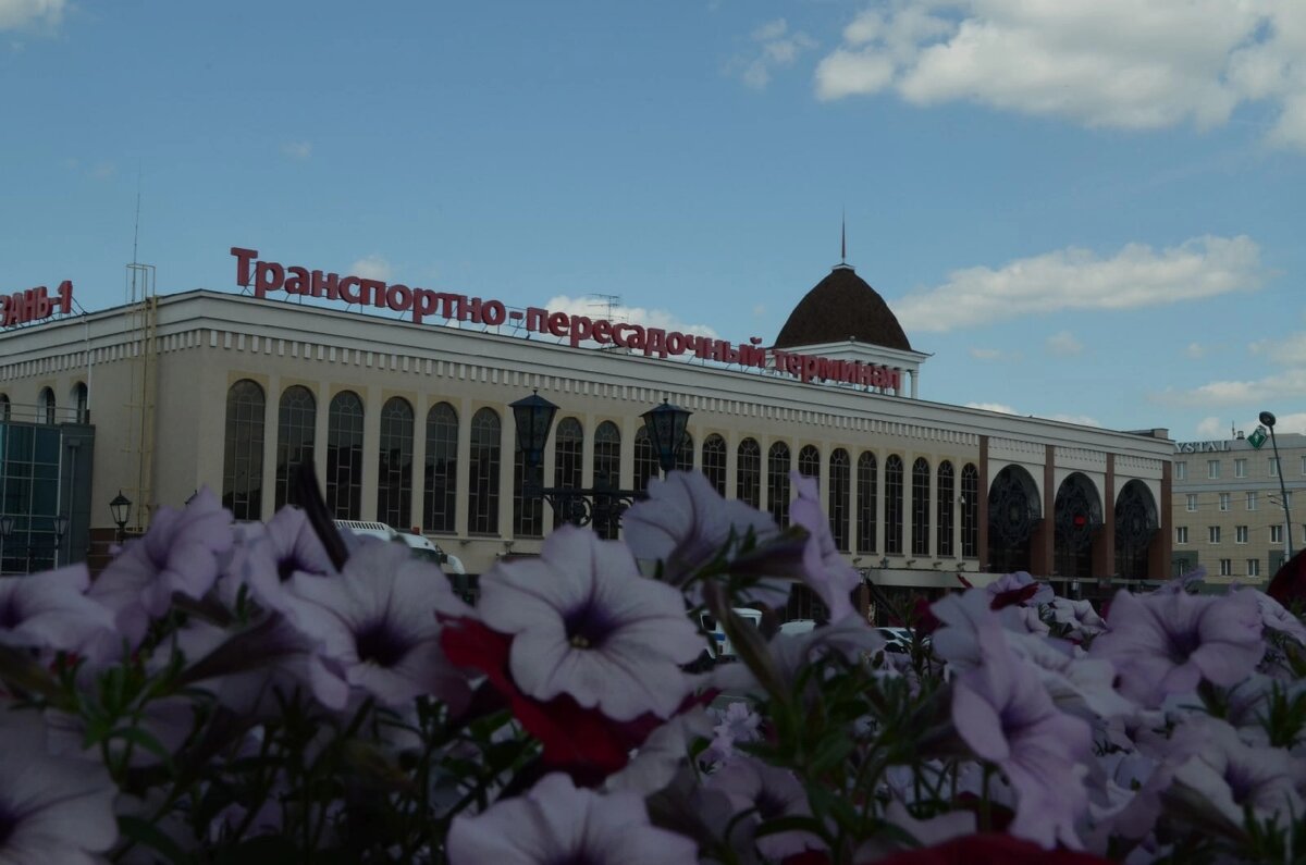 Привокзальная площадь: вид на цветы и ТПУ. извращаюсь с камерой. =)