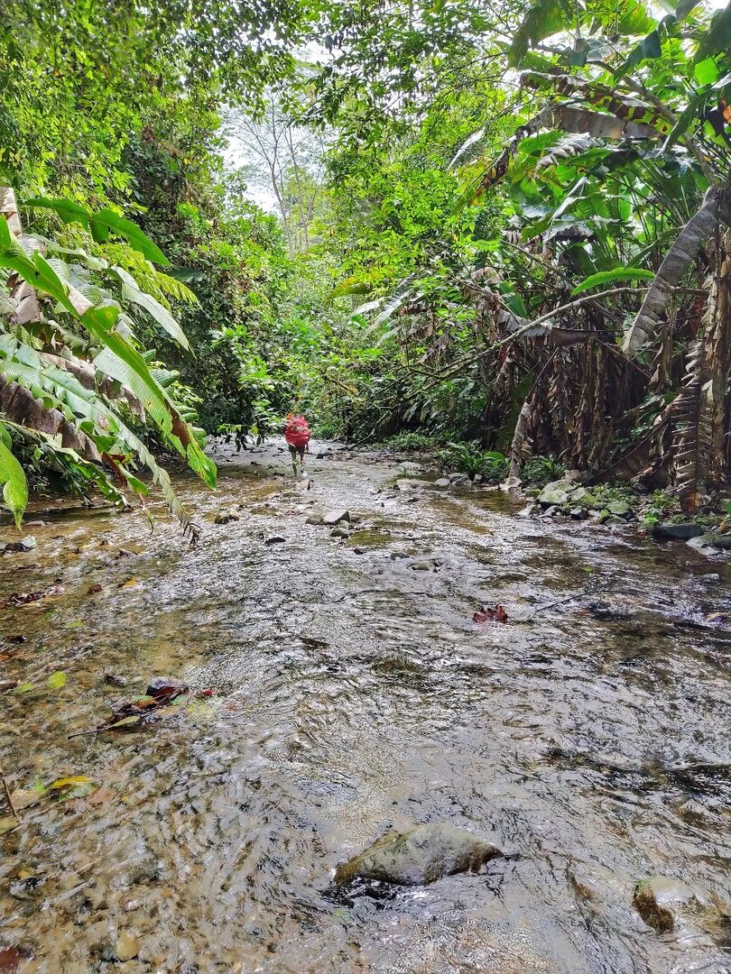 Тропа шла то по реке, то по болоту