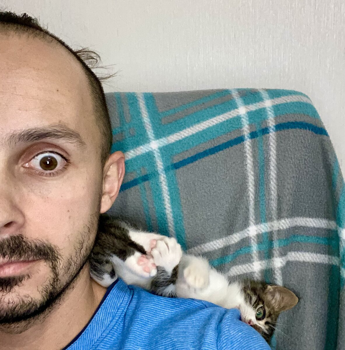 Симба любил вот так забраться мне на плечо и покусать его:)