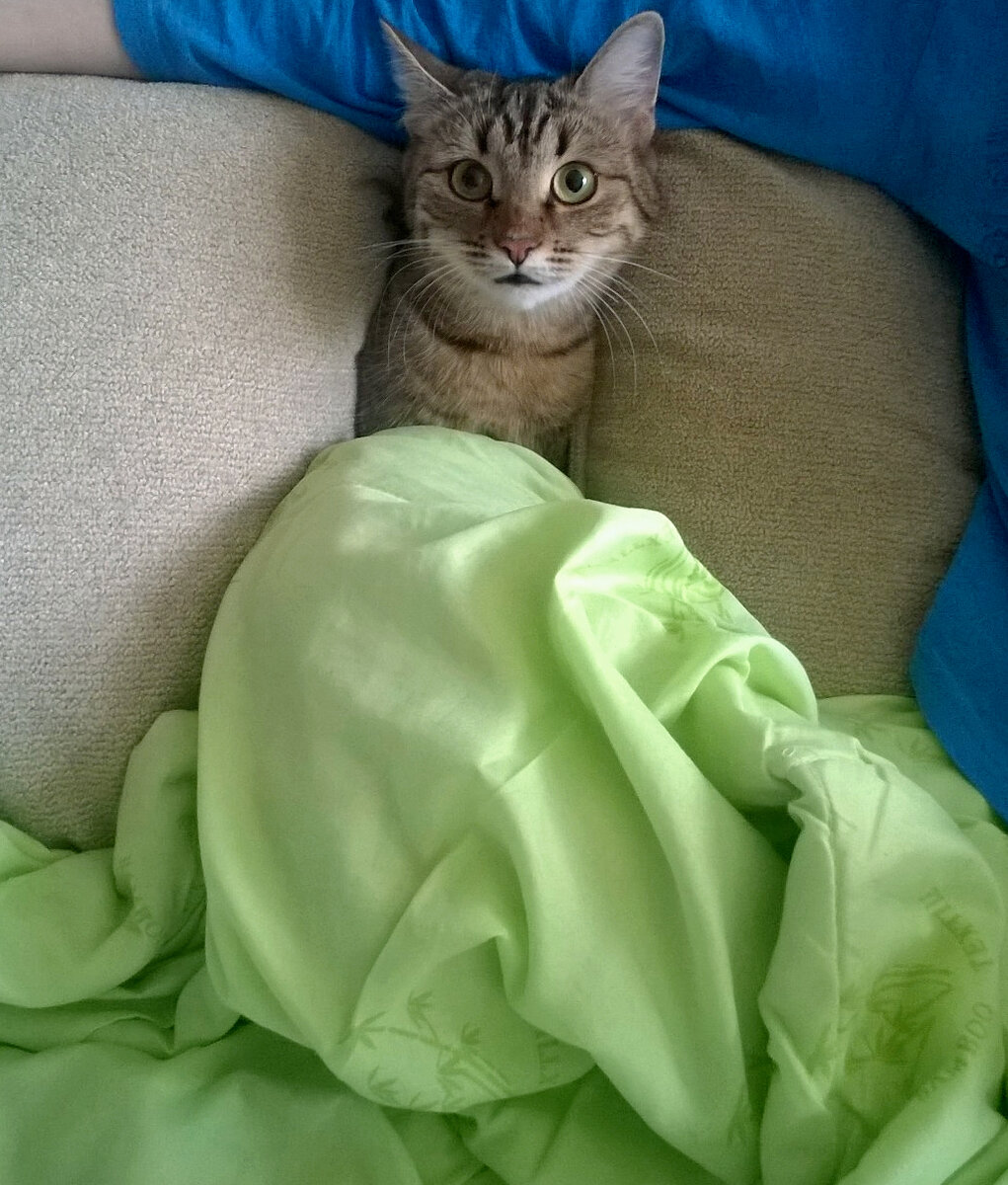 Фото автора. Альпочка