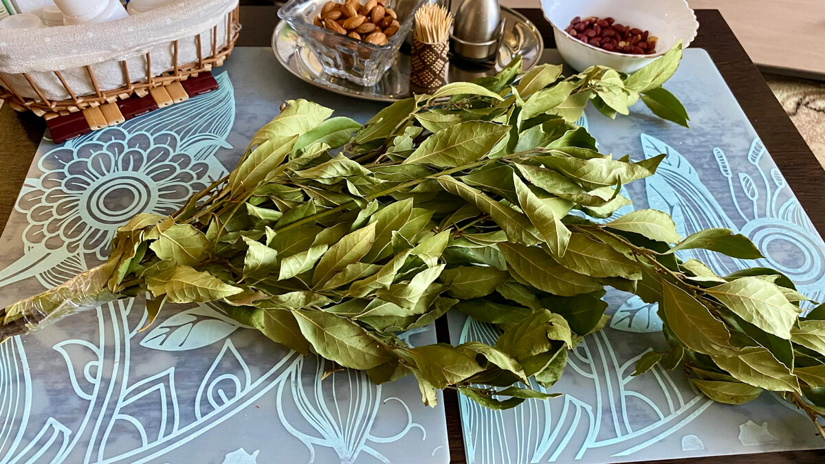 Лавровый лист в пачках больше не покупаю. Какой на самом деле должен быть  лавр и как его сушить? | Еда Иди Сюда | Дзен