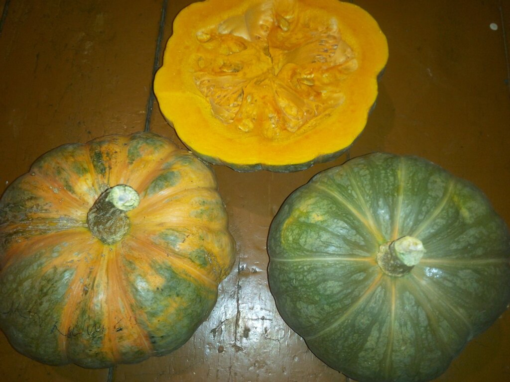 Тыква Малышка (порционная)