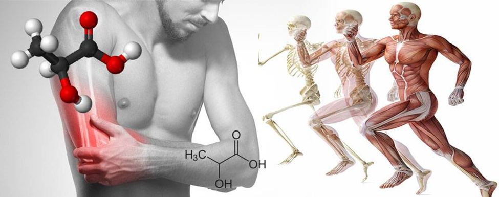 Мужчина в кислотах. Молочная кислота в мышцах. Молочная кислота боль в мышцах. Крепатура мышц что это. Молочный кислота в мышцах.