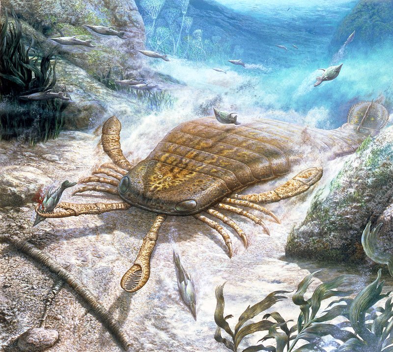 Список древних животных. Древние пресмыкающиеся, древние рептилии. Зверозубые млекопитающие. Древнее животное синтитоцерас. Гигантский ленивец (megatherium americanum).