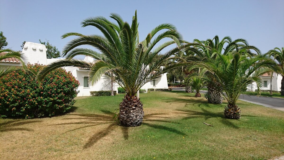 Фото из личного архива