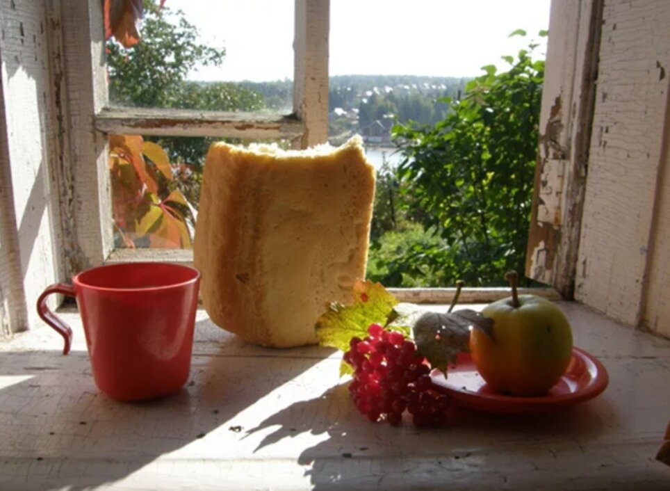 Фото из интернета 