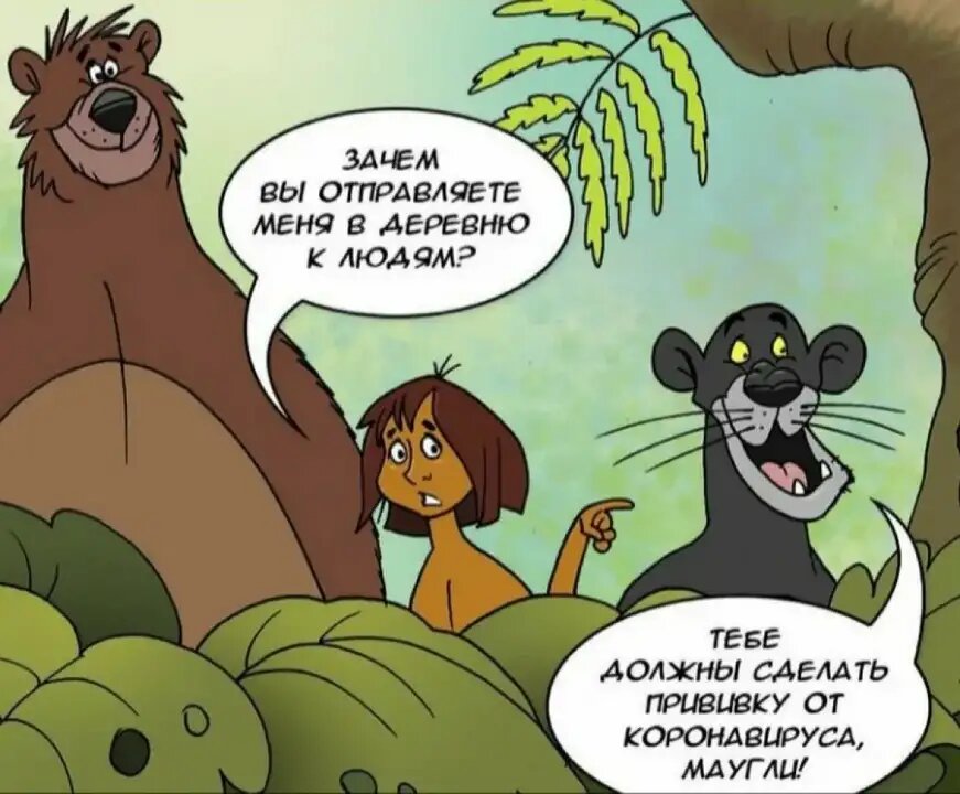 Пока что никаких планов