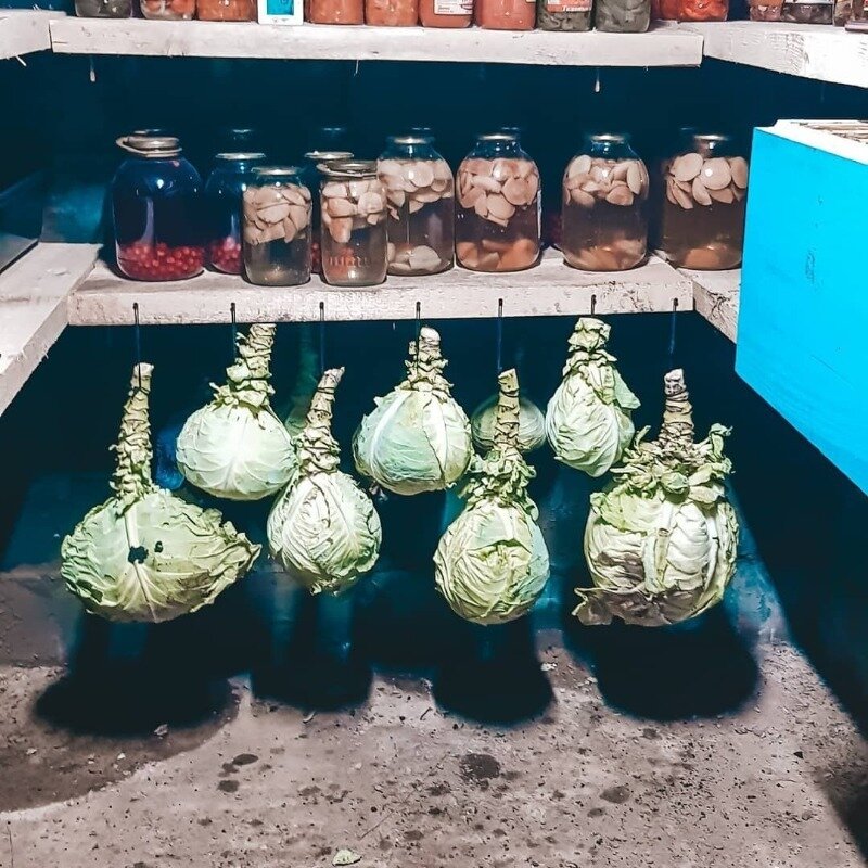 Фото  https://www.instagram.com/p/CGvHH0mnful/